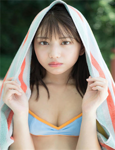 飞鹰