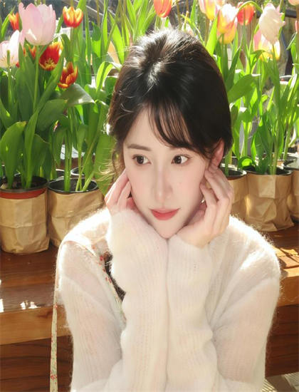 《丧失名誉的卡塔琳娜布鲁姆》最佳观看顺序指南必看的：系列作品观看建议